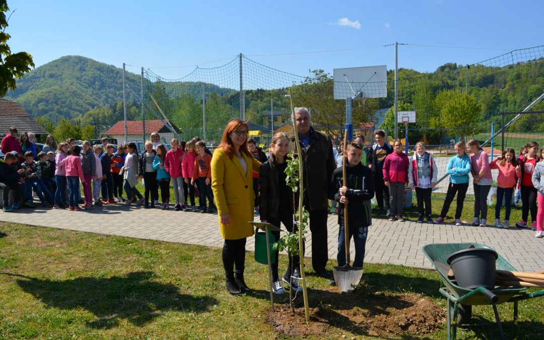 Zasaditev sevniške voščenke