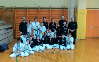 DBV IPPON SEVNICA