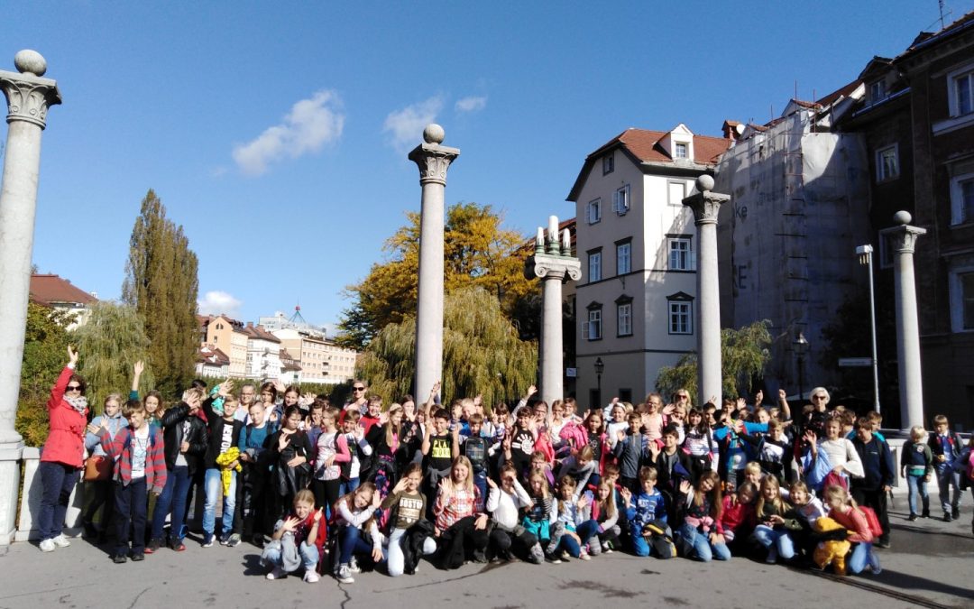 Čudoviti svet glasbil