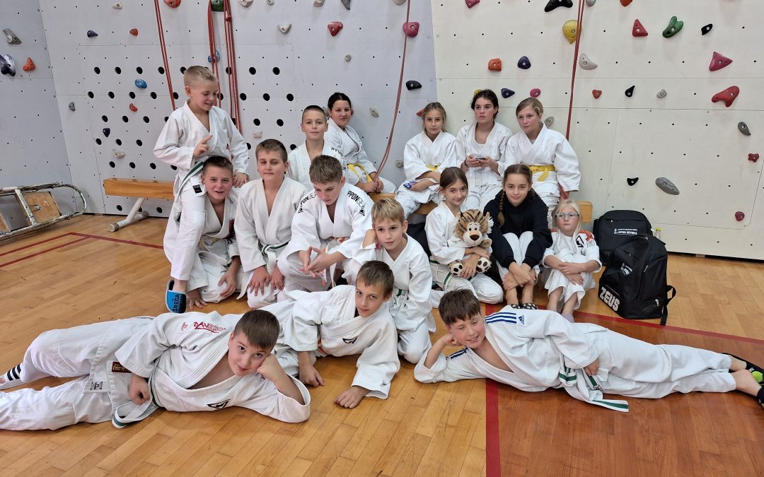 V KOČEVJU NA DRŽAVNEM PRVENSTVU 6 MEDALJ ZA MLADE IZ DBV IPPON