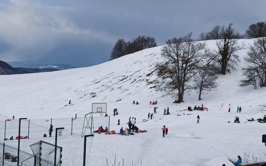 Športni dan na Lisci (1. – 3. razred)