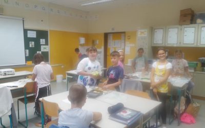 Pouk gospodinjstva v 5. b